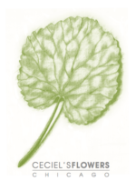 Ceciels-Flowers-Logo-e1568055155380